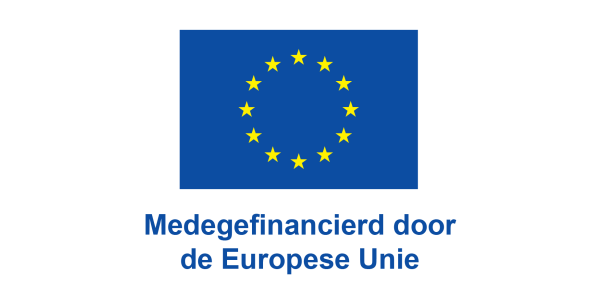 Logo Medegefinancierd door de Europese Unie